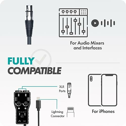 Compatibility graphic showing audio interfaces and iPhone connection.