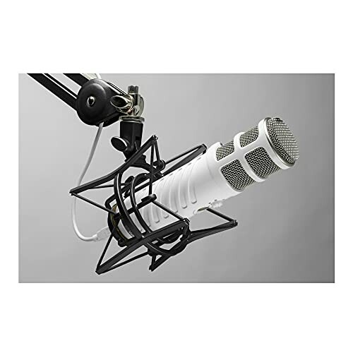 Studio microphone with stand and shock mount