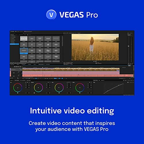 Screenshot of VEGAS Pro video editing software interface